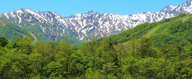 戌寅 4pira ふぉーぴらー 五行 命式 仕事 運勢 天然石 五行占い 四柱推命 陰陽五行 五行推命学 五行ジュエリー フォーピラー ４ぴら.jpg