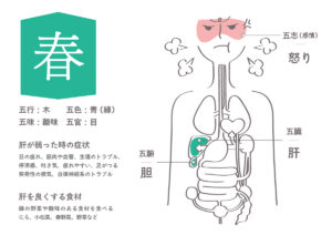 4pira ふぉーぴらー 五行 命式 成功者 運勢 天然石 ここじぇむ cocogem 占い 四柱推命 陰陽五行 五行推命学 五行ジュエリー フォーピラー ４ぴら.jpg