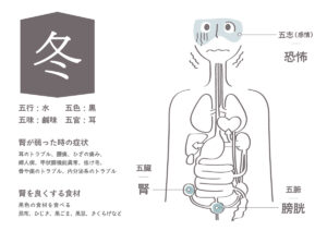 4pira ふぉーぴらー 五行 命式 成功者 運勢 天然石 ここじぇむ cocogem 占い 四柱推命 陰陽五行 五行推命学 五行ジュエリー フォーピラー ４ぴら.jpg