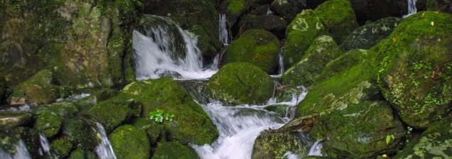 4pira ブレスレット 五行 命式 成功 潤下水 納音 なっちん 運勢 天然石 てんとく 天徳　天徳貴人 ここじぇむ cocogem 占い 四柱推命 陰陽五行 五行推命学 五行ジュエリー フォーピラー ４ぴら.jpg