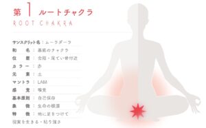 ちゃくら ルートチャクラ 4pira やまとことば 言霊学 パワーストーンMIOYA みおや ブレスレット 五行 命式 成功 海中金 かいちゅうきん 納音 なっちん 運勢 天然石 てんとく 天徳　天徳貴人 ここじぇむ cocogem 占い 四柱推命 陰陽五行 五行推命学 フォーピラー ４ぴら パーソナルコンサルティング ブランディング 開運 納音 ここじぇむ 四柱推命 陰陽五行 五行推命学 フォーピラー ４ぴら.jpg