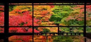 天戦地冲 てんせんちちゅん 言霊 ことだま 母音 ぼいん チャクラ ちゃくら 4pira やまとことば 言霊学 パワーストーンMIOYA みおや ブレスレット 五行 命式 成功 海中金 かいちゅうきん 納音 なっちん 運勢 天然石 てんとく 天徳　天徳貴人 ここじぇむ cocogem 占い 四柱推命 陰陽五行 五行推命学 フォーピラー ４ぴら パーソナルコンサルティング ブランディング 開運 納音 ここじぇむ 四柱推命 陰陽五行 五行推命学 フォーピラー ４ぴら.jpg