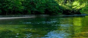 天戦地冲 てんせんちちゅん 言霊 ことだま 母音 ぼいん チャクラ ちゃくら 4pira やまとことば 言霊学 パワーストーンMIOYA みおや ブレスレット 五行 命式 成功 海中金 かいちゅうきん 納音 なっちん 運勢 天然石 てんとく 天徳　天徳貴人 ここじぇむ cocogem 占い 四柱推命 陰陽五行 五行推命学 フォーピラー ４ぴら パーソナルコンサルティング ブランディング 開運 納音 ここじぇむ 四柱推命 陰陽五行 五行推命学 フォーピラー ４ぴら.jpg