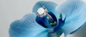 shinsoku 神則経営 神則 しんそく 惟神 かんながら 天戦地冲 てんせんちちゅん 言霊 ことだま 母音 ぼいん チャクラ ちゃくら 4pira やまとことば 言霊学 パワーストーンMIOYA みおや ブレスレット 五行 命式 成功 海中金 かいちゅうきん 納音 なっちん 運勢 天然石 てんとく 天徳　天徳貴人 ここじぇむ cocogem 占い 四柱推命 陰陽五行 五行推命学 フォーピラー ４ぴら パーソナルコンサルティング ブランディング 開運 納音 ここじぇむ 四柱推命 陰陽五行 五行推命学 フォーピラー ４ぴら.jpg