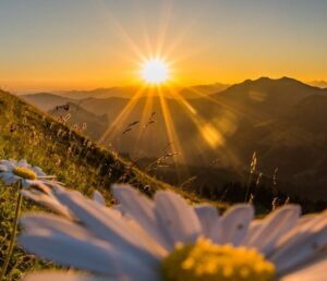 丙戌 ひのえいぬ shinsoku 神則経営 神則 しんそく 惟神 かんながら 天戦地冲 てんせんちちゅん 言霊 ことだま 母音 ぼいん チャクラ ちゃくら 4pira やまとことば 言霊学 パワーストーンMIOYA みおや ブレスレット 五行 命式 成功 海中金 かいちゅうきん 納音 なっちん 運勢 天然石 てんとく 天徳　天徳貴人 ここじぇむ cocogem 占い 四柱推命 陰陽五行 五行推命学 フォーピラー ４ぴら パーソナルコンサルティング ブランディング 開運 納音 ここじぇむ 四柱推命 陰陽五行 五行推命学 フォーピラー ４ぴら.jpg