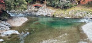 tenritu shinsokuてんりつしんそく 天律神則 神則 しんそく てんりつ成功者 経営者 龍神 りゅうじん 惟神 かんながら 惟神の美學 天戦地冲 てんせんちちゅん 言霊 ことだま やまとことば 言霊学 パワーストーン mioya MIOYA ミオヤ みおや ブレスレット 五行 命式 納音 なっちん 運勢 てんとく 天徳 天徳貴人 四柱推命 陰陽五行 五行推命学 フォーピラー ４ぴら パーソナルコンサルティング ブランディング 開運 納音 ここじぇむ フォーピラーズ ふぉーぴらーず.jpg