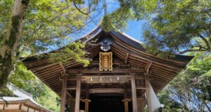 志賀海神社 しかうみじんじゃ 大綿津見神 オオワタツミノカミ tenritu shinsokuてんりつしんそく 天律神則 神則 しんそく てんりつ成功者 経営者 龍神 りゅうじん 惟神 かんながら 惟神の美學 天戦地冲 てんせんちちゅん 言霊 ことだま やまとことば 言霊学 パワーストーン mioya MIOYA ミオヤ みおや ブレスレット 五行 命式 納音 なっちん 運勢 てんとく 天徳 天徳貴人 四柱推命 陰陽五行 五行推命学 フォーピラー ４ぴら パーソナルコンサルティング ブランディング 開運 納音 ここじぇむ フォーピラーズ ふぉーぴらーず.jpg