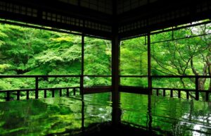 魁罡 kaigou かいごう戊戌 つちのえいぬ tuchinoeinu 戊 つちのえ 4pira やまとことば 言霊学 パワーストーンmioya みおや ブレスレット 五行 命式 成功 はくろうきん 納音 なっちん 運勢 天然石 てんとく 天徳 天徳貴人 cocogem 占い 四柱推命 陰陽五行 五行推命学 フォーピラー 4ぴら パーソナルコンサルティング ブランディング 開運 納音 ここじぇむ 四柱推命 陰陽五行 五行推命学 フォーピラー 4ぴら.jpg