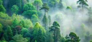 魁罡 kaigou か魁罡 kaigou かいごう戊戌 つちのえいぬ tuchinoeinu 戊 つちのえ 4pira やまとことば 言霊学 パワーストーンmioya みおや ブレスレット 五行 命式 成功 はくろうきん 納音 なっちん 運勢 天然石 てんとく 天徳 天徳貴人 cocogem 占い 四柱推命 陰陽五行 五行推命学 フォーピラー 4ぴら パーソナルコンサルティング ブランディング 開運 納音 ここじぇむ 四柱推命 陰陽五行 五行推命学 フォーピラー 4ぴら.jpgいごう