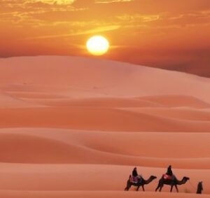 己未 つちのとひつじ tuchinoto 4pira やまとことば 神則 しんそく言霊学 shinsoku 天律 てんりつ mioya みおや ブレスレット 五行 命式 成功 納音 なっちん 運勢 天然石 kaigou かいごう 魁罡 てんとく 天徳　天徳貴人 cocogem 占い 四柱推命 陰陽五行 五行推命学 フォーピラー ４ぴら パーソナルコンサルティング ブランディング 開運 納音 ここじぇむ 四柱推命 陰陽五行 五行推命学 フォーピラー ４ぴら.jpg