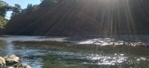 霊主体従 体主霊従 れいゆたいじゅう たいしゅれいじゅう reisyutaijyu taisyureijyu 古事記 kojiki nakiisachi なきいさち 4pira やまとことば 言霊学 パワーストーンMIOYA みおや ブレスレット 五行 命式 成功 はくろうきん 納音 なっちん 運勢 天然石 てんとく 天徳 天徳貴人 cocogem 占い 四柱推命 陰陽五行 五行推命学 フォーピラー 4ぴら パーソナルコンサルティング ブランディング 開運 納音 ここじぇむ 四柱推命 陰陽五行 五行推命学 フォーピラー 4ぴら.jpg