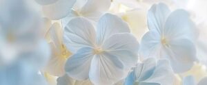 茅の輪 ちのわ 夏越し祓 なごのはらえ 転換期 てんかんき 世界シナリオ 魁罡 かいごう 戊戌 つちのえいぬ 庚辰 かのえたつ 庚戌 かのえいぬ 壬辰 みずのえたつ 惟神の経営 かんながらのけいえい 神則経営 霊主体従 体主霊従 れいゆたいじゅう たいしゅれいじゅう reisyutaijyu taisyureijyu 4pira 言霊学 MIOYA みおや ブレスレット 五行 納音 なっちん 運勢 天然石 てんとく 天徳 天徳貴人 四柱推命 しちゅうすいめい 陰陽五行 五行推命学 パーソナルコンサルティング 納音 ここじぇむ フォーピラー fourpillars 4ぴら.jpg